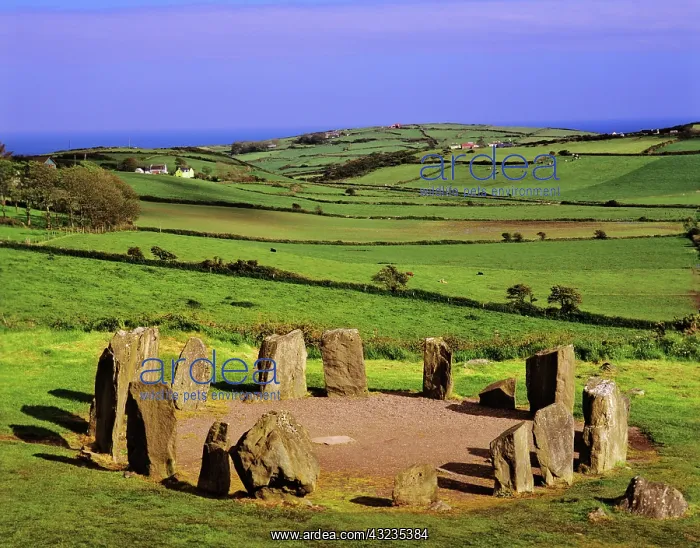 : Ireland, County Cork. The Dromberg Stone : Ireland, County Cork. The Dromberg Stone