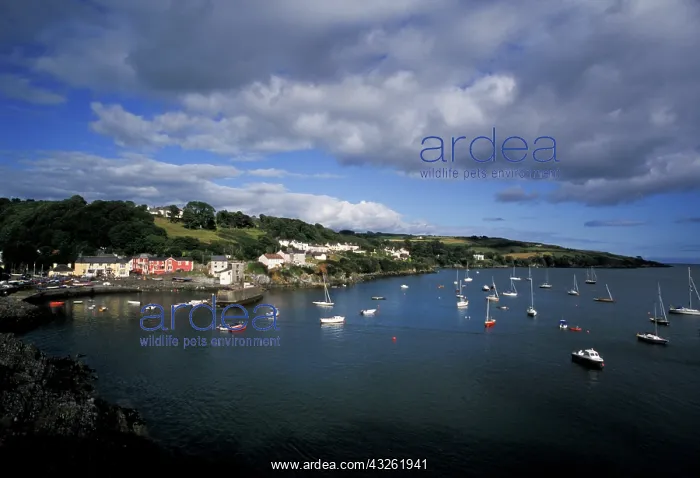 : Ireland, County Cork, Glandore. Harbor view : Ireland, County Cork, Glandore. Harbor view