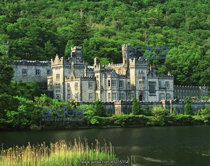 : Ireland, County Galway, Connemara. View : Ireland, County Galway, Connemara. View
