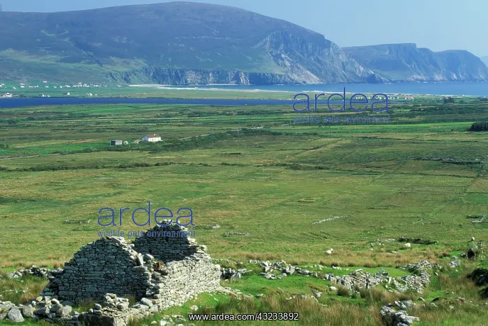 : Ireland, County Mayo, Achill Island. Ancient : Ireland, County Mayo, Achill Island. Ancient