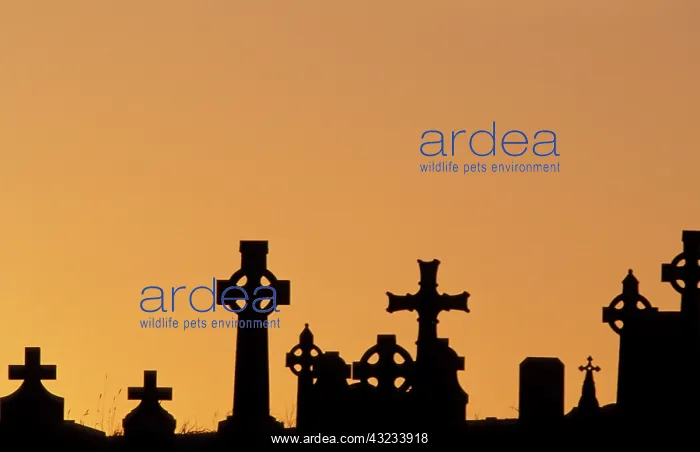 : Ireland, County Mayo. Aghagower cemetery : Ireland, County Mayo. Aghagower cemetery
