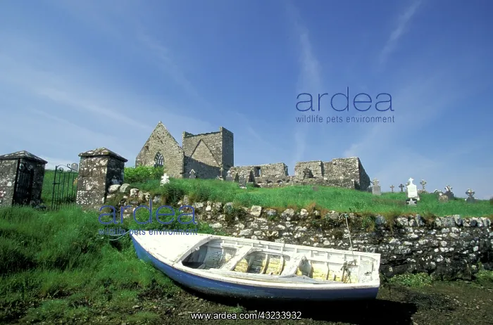  : Ireland, County Mayo. Burrishoole Abbey