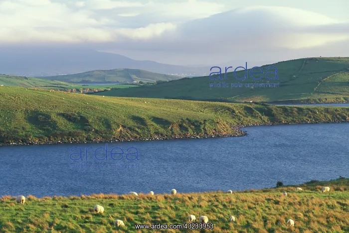 : Ireland, County Mayo. Clew Bay : Ireland, County Mayo. Clew Bay