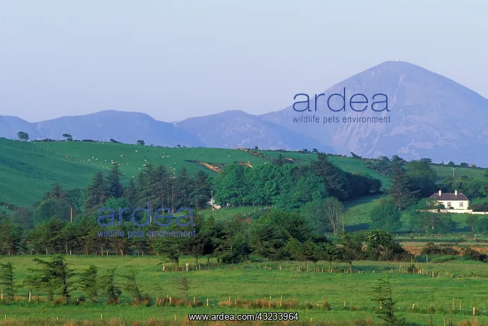 : Ireland, County Mayo. Croagh Patrick : Ireland, County Mayo. Croagh Patrick