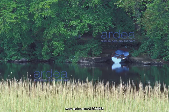 : Ireland, County Mayo. Lough Corrub, Rowboat : Ireland, County Mayo. Lough Corrub, Rowboat