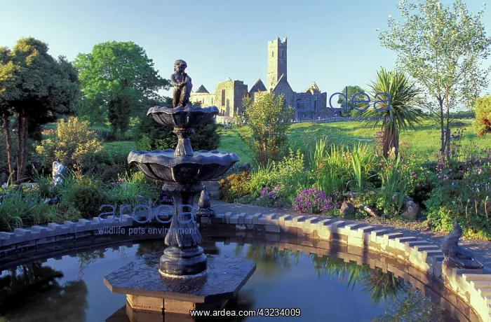 : Ireland, County Mayo. Quinn Abbey : Ireland, County Mayo. Quinn Abbey