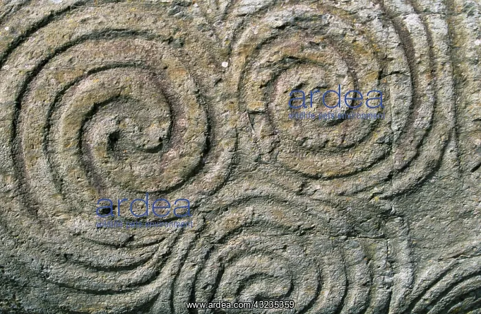 : Ireland, County Meath, Newgrange. Close-up : Ireland, County Meath, Newgrange. Close-up