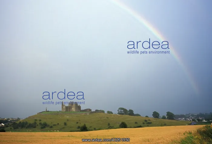 : Ireland, County Tipperary. Rock of Cashel : Ireland, County Tipperary. Rock of Cashel