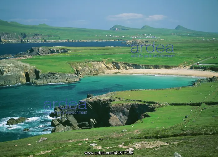  : Ireland, The Dingle peninsula