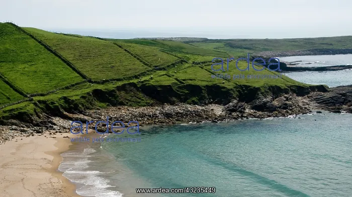: Ireland, Donegal. The blue sea meets the : Ireland, Donegal. The blue sea meets the