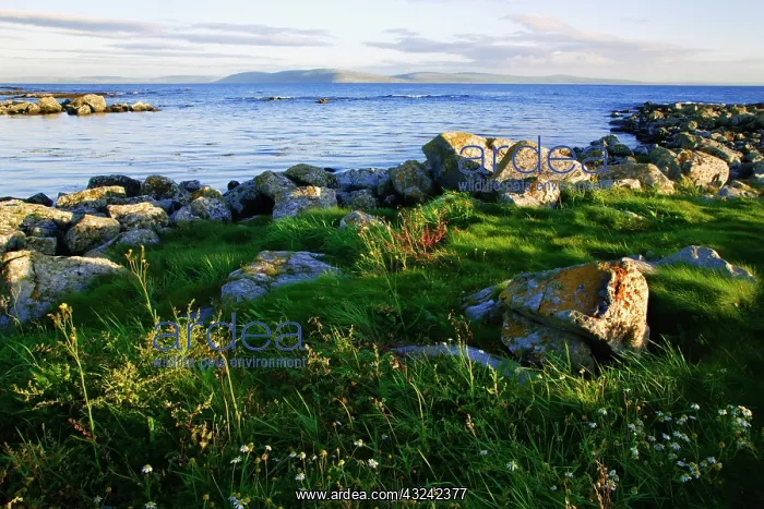 : Ireland, Galway Bay. View of the bay in : Ireland, Galway Bay. View of the bay in