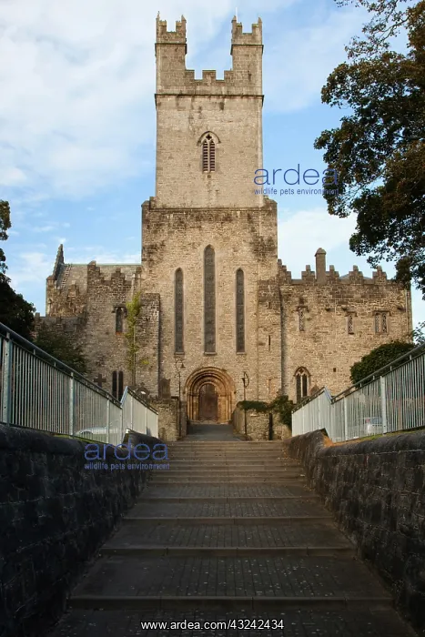 : Ireland, Limerick. Entrance to St. Mary's : Ireland, Limerick. Entrance to St. Mary's