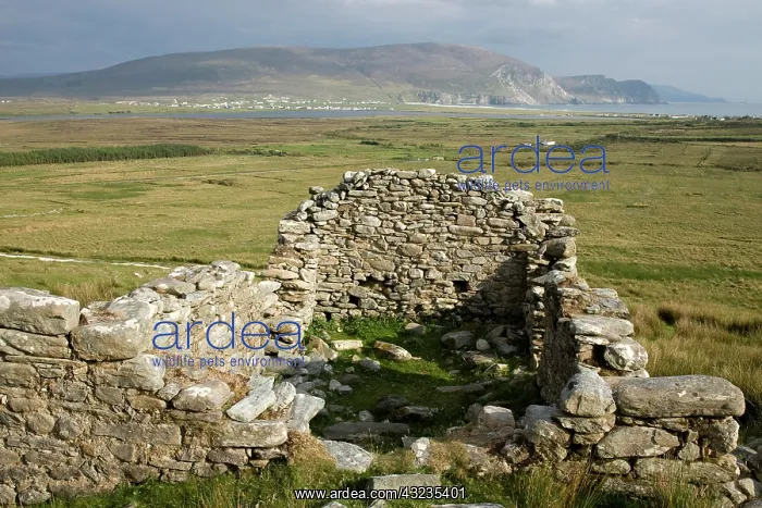: Ireland, Mayo, Achill Island. The deserted : Ireland, Mayo, Achill Island. The deserted