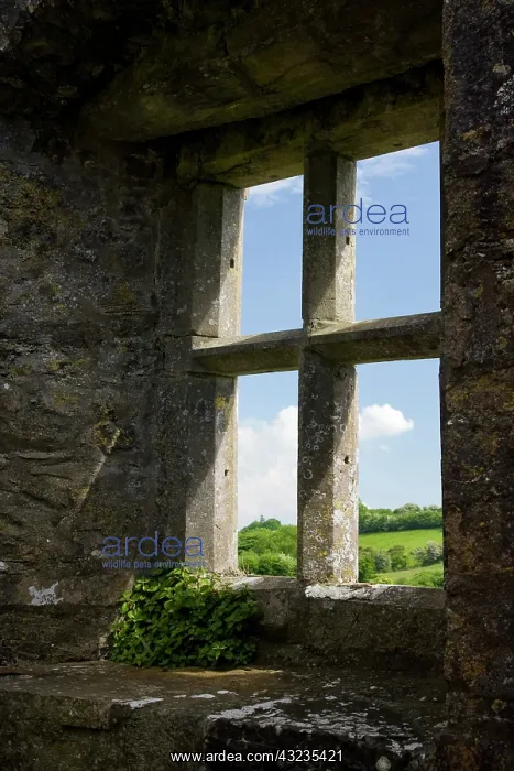 : Ireland, Mayo, Turlough. Looking out of : Ireland, Mayo, Turlough. Looking out of
