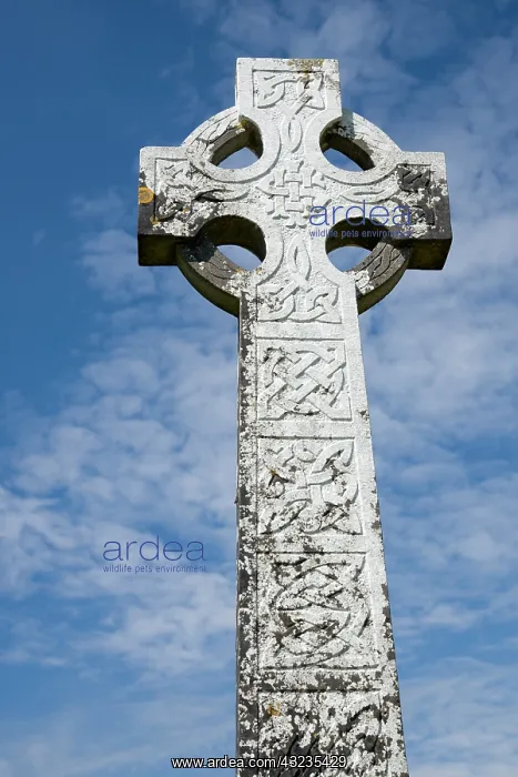 : Ireland, Mayo, Turlough. White Celtic cross : Ireland, Mayo, Turlough. White Celtic cross