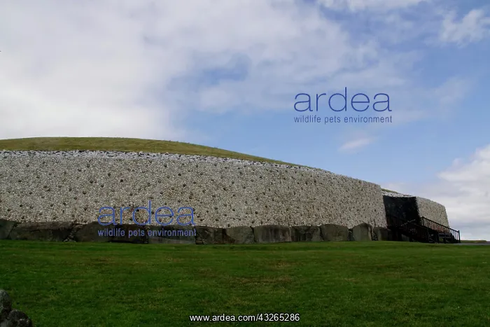 : Ireland, Newgrange. Newgrange Passage Tomb : Ireland, Newgrange. Newgrange Passage Tomb