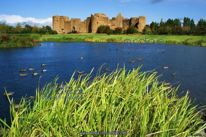  : Ireland, Roscommon. View of ruins of Roscommon