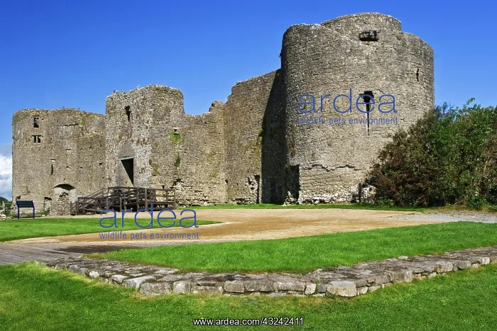: Ireland, Roscommon. View of ruins of Roscommon : Ireland, Roscommon. View of ruins of Roscommon