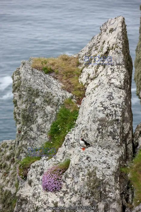 : Ireland. Skellig Michael Island. Europe's : Ireland. Skellig Michael Island. Europe's