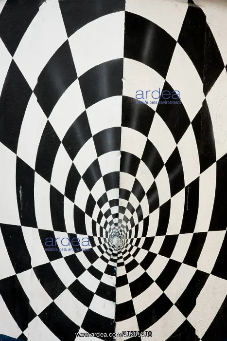 : Ireland, Sligo. Abstract art in black and : Ireland, Sligo. Abstract art in black and