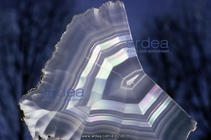 : Iris Agate : Iris Agate