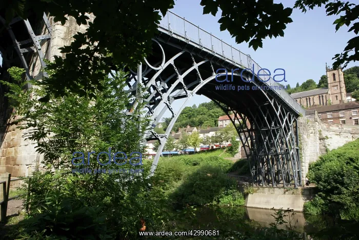 : the Iron Bridge over the River Severn at Ironbridge : the Iron Bridge over the River Severn at Ironbridge