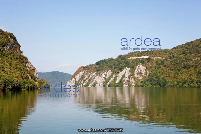 : Iron Gate, Portile de Fier, gorge of river : Iron Gate, Portile de Fier, gorge of river
