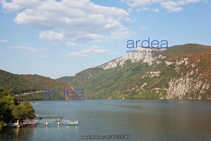 : Iron Gate, Portile de Fier, gorge of river : Iron Gate, Portile de Fier, gorge of river