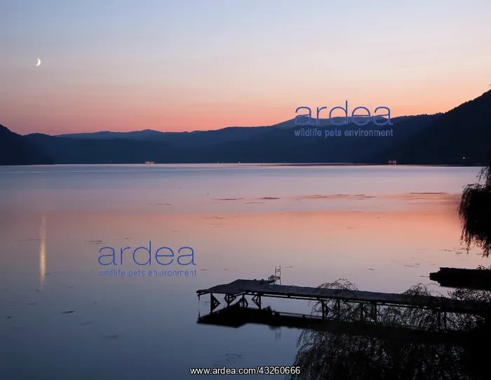 : Iron Gate, Portile de Fier, gorge of river : Iron Gate, Portile de Fier, gorge of river