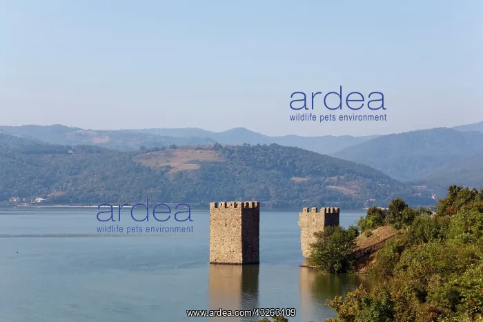 : Iron Gate, Portile de Fier, gorge of river : Iron Gate, Portile de Fier, gorge of river