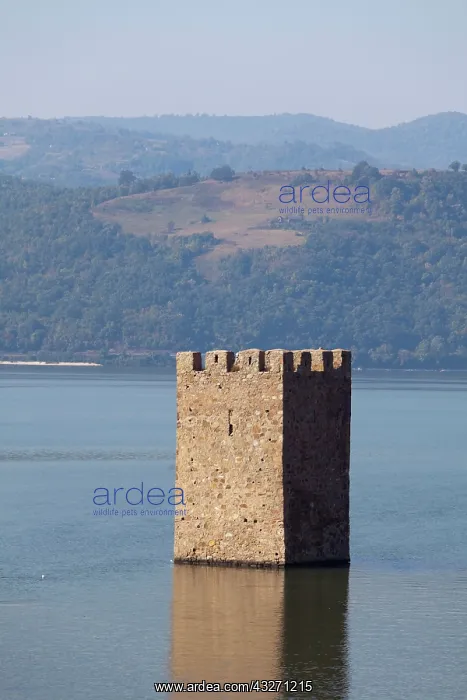 : Iron Gate, Portile de Fier, gorge of river : Iron Gate, Portile de Fier, gorge of river