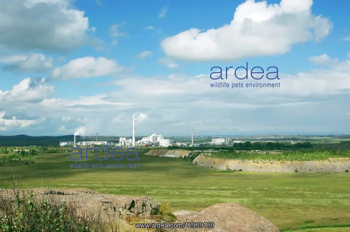  : Iron-ore mining and smelting industrial complex