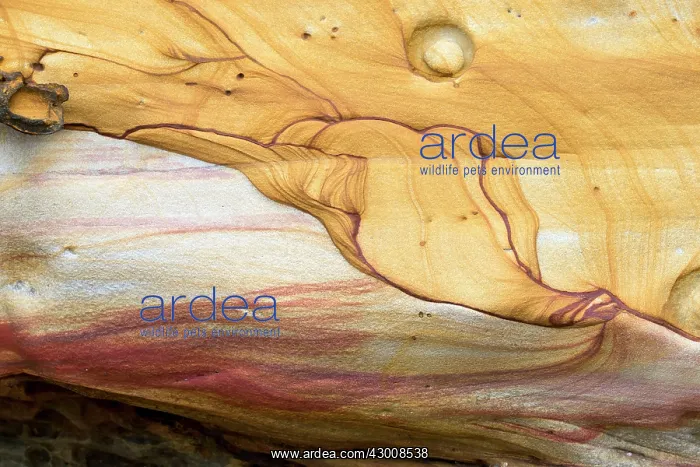 : Iron Oxides in the sandstone : Iron Oxides in the sandstone