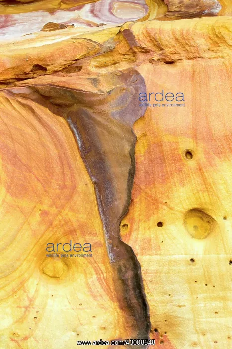 : Iron Oxides in the sandstone : Iron Oxides in the sandstone