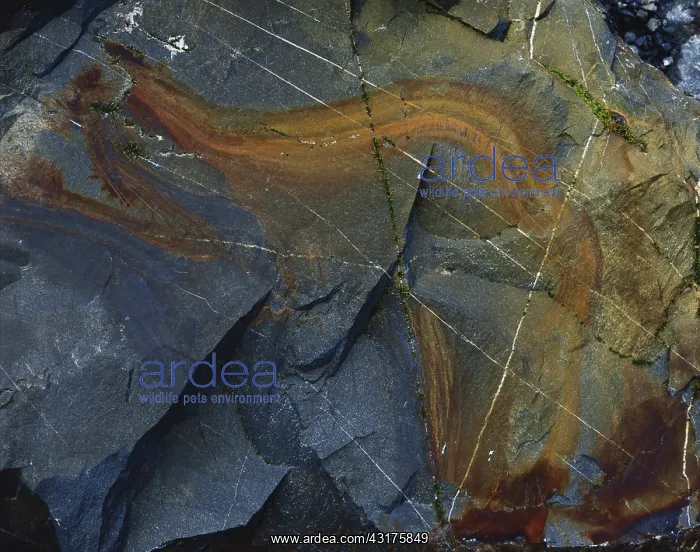 : Iron-stained Rock : Iron-stained Rock