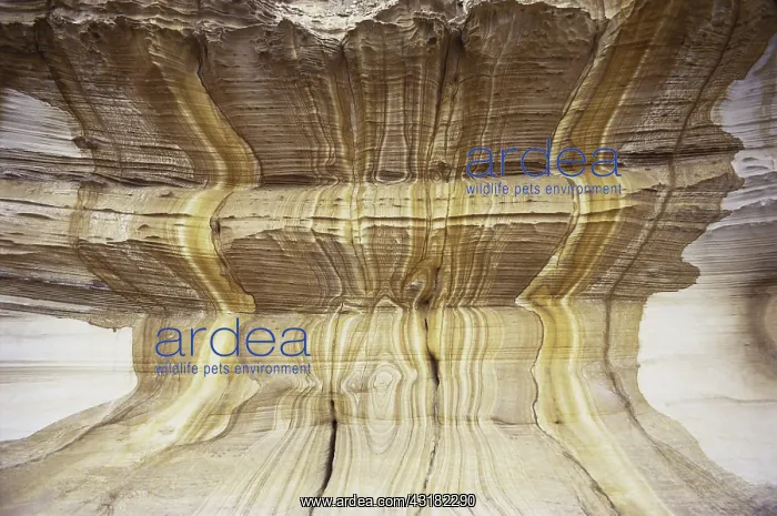 : Iron-stained Sandstone : Iron-stained Sandstone