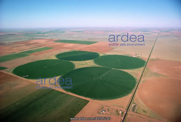 : Irrigation - agriculture : Irrigation - agriculture