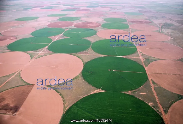 : IRRIGATION - Agriculture : IRRIGATION - Agriculture