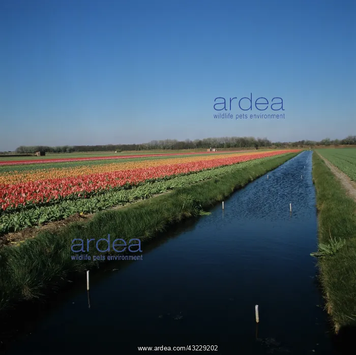 : Irrigation and drainage canal : Irrigation and drainage canal