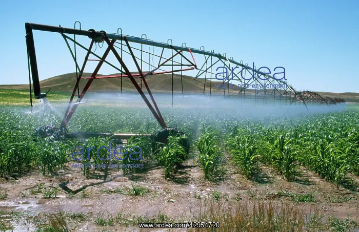  : Irrigation - maize
