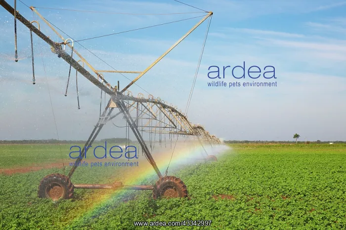 : Irrigation system and rainbow. Cienfuegos province : Irrigation system and rainbow. Cienfuegos province