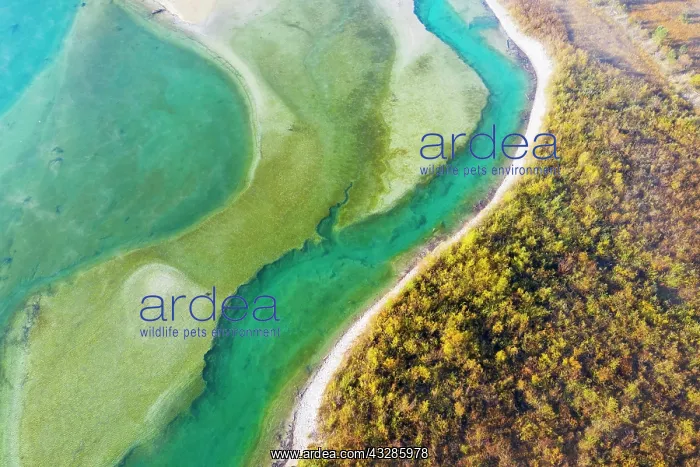 : Isar, at the inflow into the Sylvenstein lake, Sylvenstein : Isar, at the inflow into the Sylvenstein lake, Sylvenstein