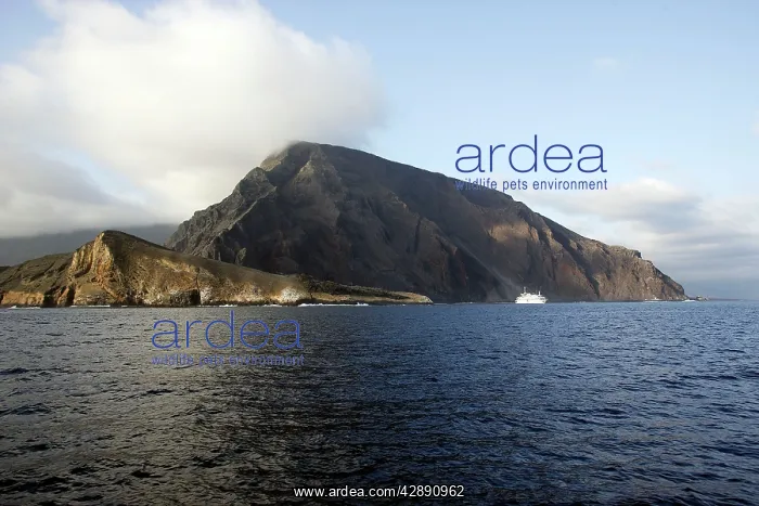  : Isla Isabella