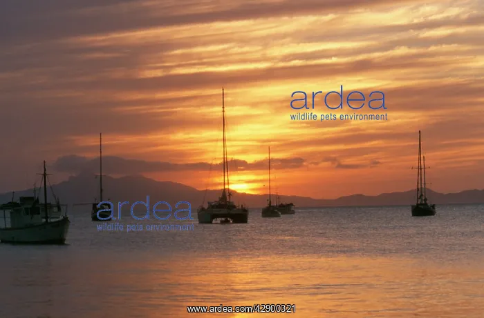 : Isla Margarita / Margarita Island - sunset over : Isla Margarita / Margarita Island - sunset over