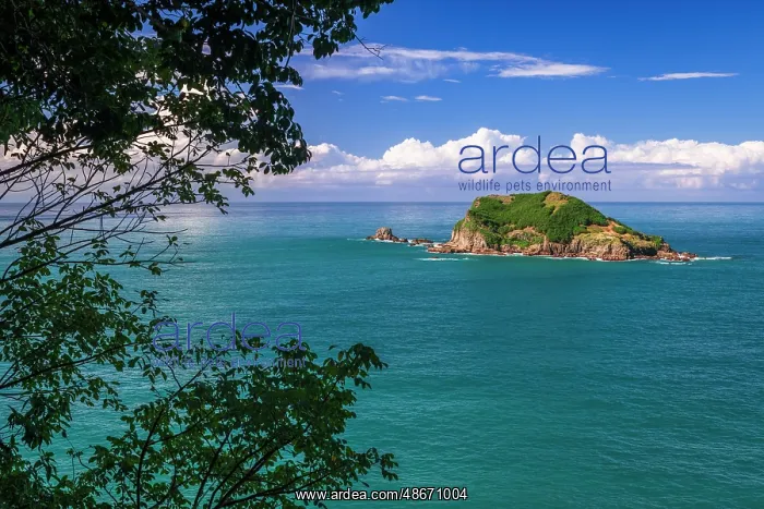 : Isla Olocuilta from the Punta Serrucho viewpoint, Manuel : Isla Olocuilta from the Punta Serrucho viewpoint, Manuel