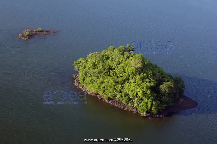 : An island covered with rainforest vegetation in : An island covered with rainforest vegetation in