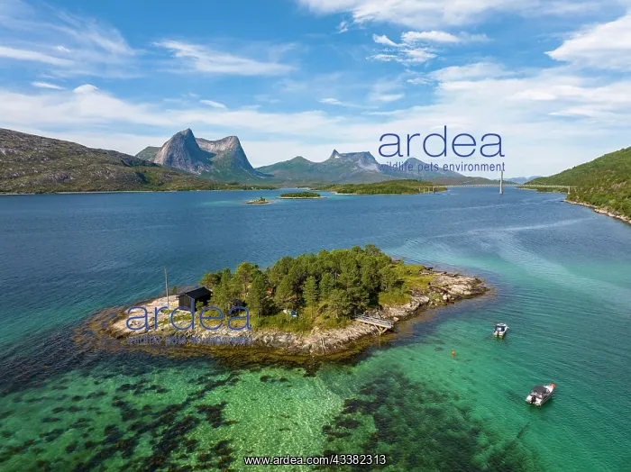 : Island in the fjord off Bergen, mountains Kulhor : Island in the fjord off Bergen, mountains Kulhor