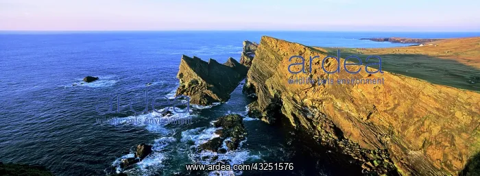 : The Island of Foula part of the Shetland : The Island of Foula part of the Shetland