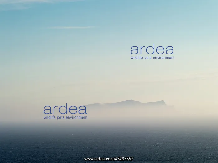 : The island of Foula, part of the Shetland : The island of Foula, part of the Shetland