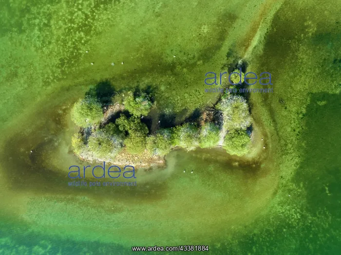 : Island in Lake Constance, Constance County, Baden-Warttember : Island in Lake Constance, Constance County, Baden-Warttember